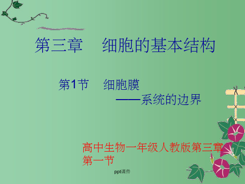 高中生物《31细胞膜-系统的边界》课件 新人教版必修1