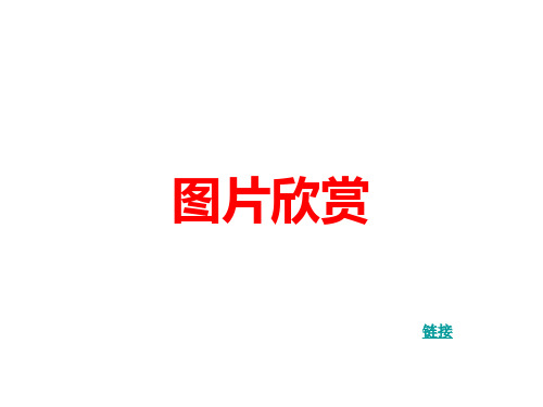 《荷》专题2