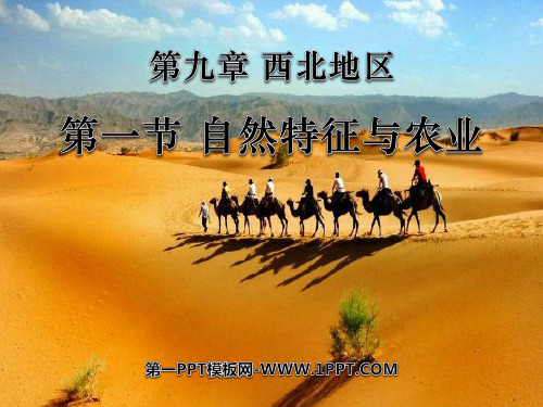 《自然特征与农业》西北地区PPT教学-人教版八年级地理下册