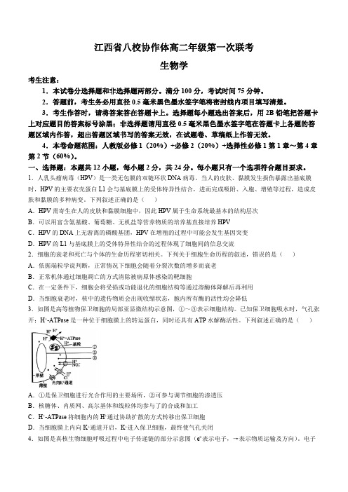 江西省八校协作体2024-2025学年高二上学期第一次联考生物试题(含答案)