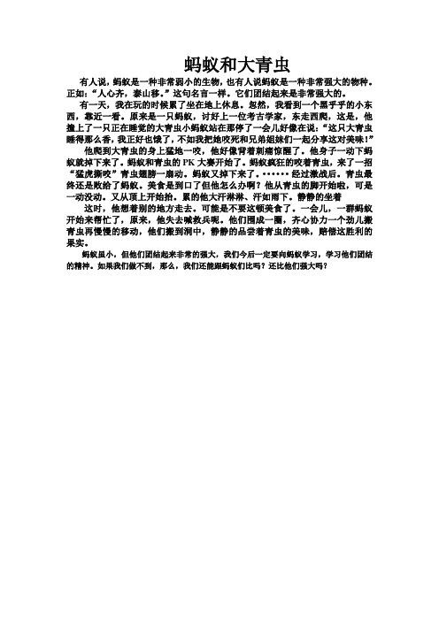 蚂蚁和大青虫