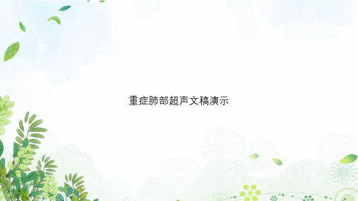 重症肺部超声文稿演示
