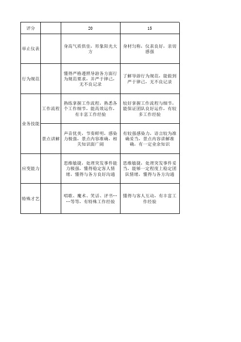导游考核评分标准