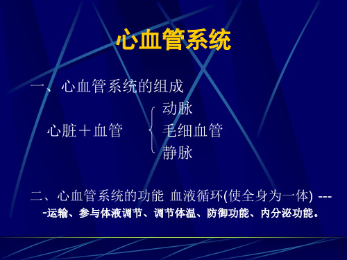 兽医解剖第4章 循环系统
