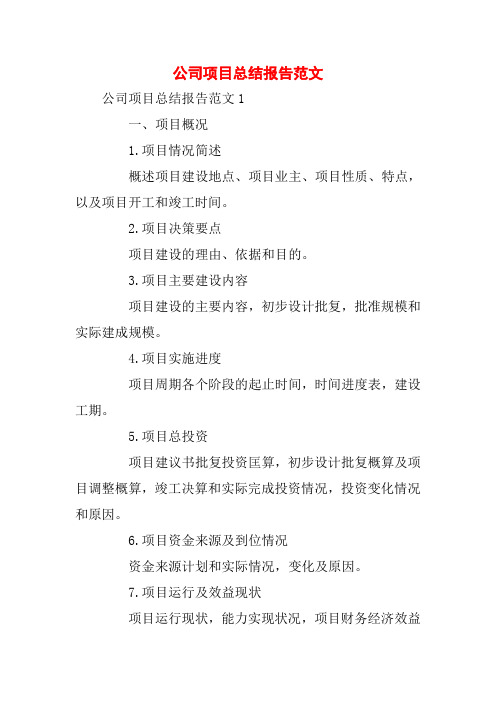 公司项目总结报告范文