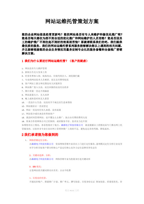 网站运维托管策划方案