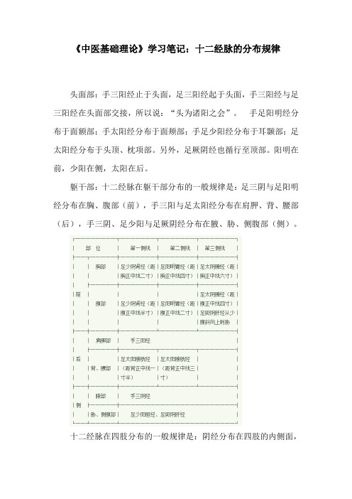 《中医基础理论》学习笔记：十二经脉的分布规律