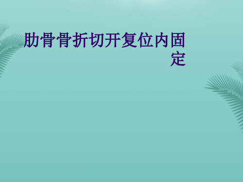 【推荐文档】肋骨骨折切开复位内固定PPT