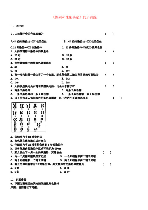 八年级生物上册20_4性别和性别决定同步练习新版北师大版