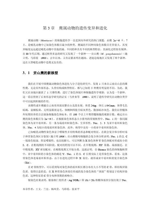 第3章 麂属动物的遗传变异和进化