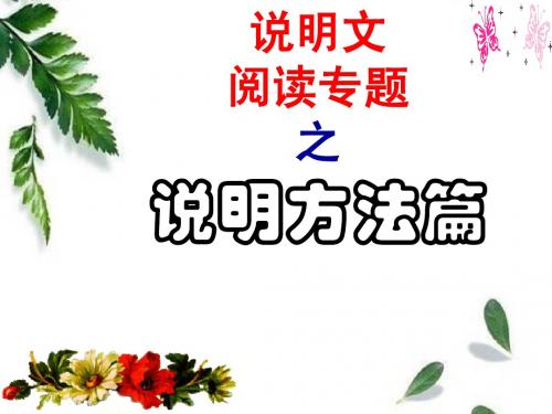 公开课：说明方法阅读