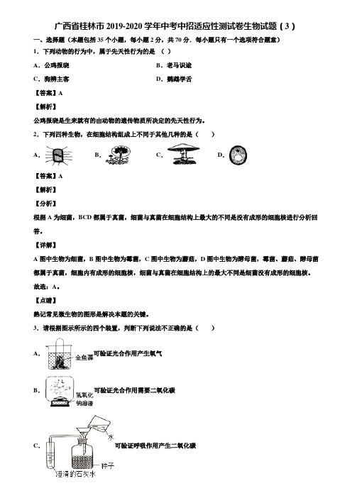广西省桂林市2019-2020学年中考中招适应性测试卷生物试题(3)含解析