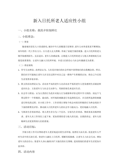老年人适应性小组计划书