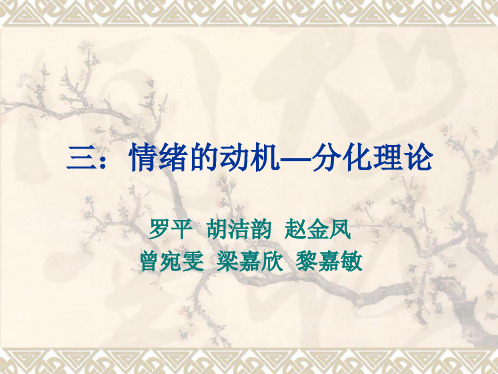 情绪的动机分化理论