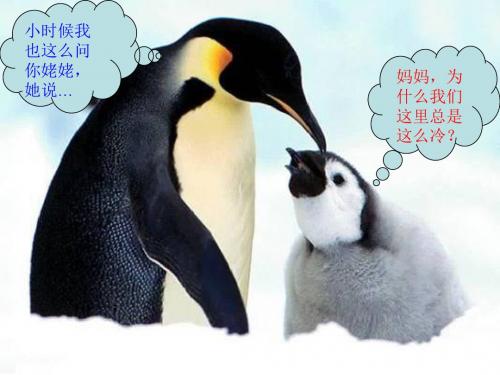 两极地区