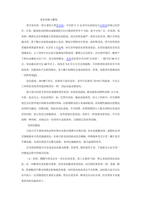 龙鱼养殖与繁殖