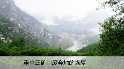 重金属矿山废弃地的修复