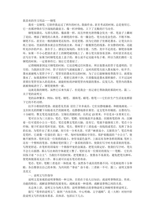 说明文钢笔