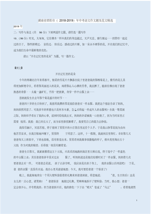 湖南省邵阳市(2018-2019)年中考语文作文题及范文精选