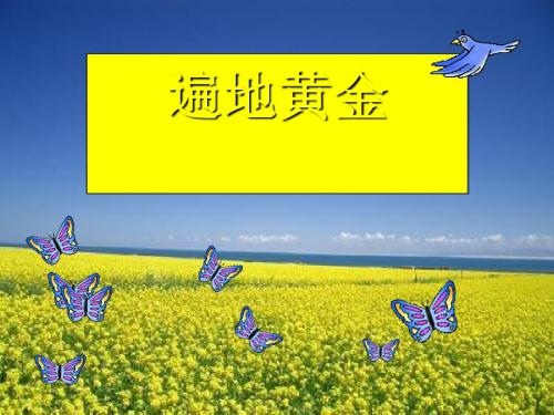 《遍地黄金》PPT课件3 (共17张PPT)