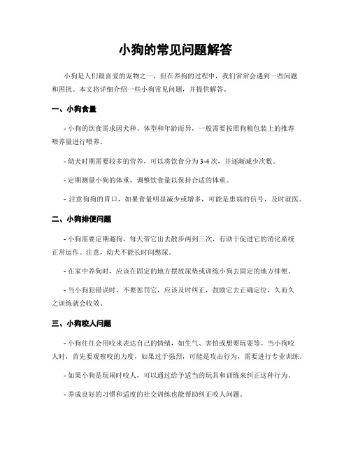 小狗的常见问题解答