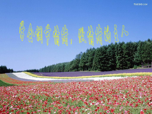 学会调节情绪,做情绪的主人培训讲义