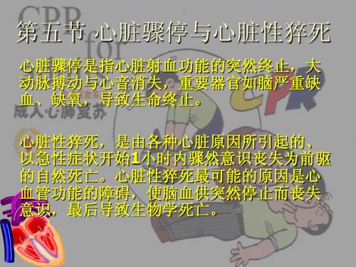 第五节 心脏骤停与心脏性猝死