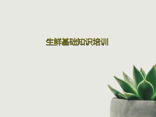 生鲜基础知识培训62页PPT
