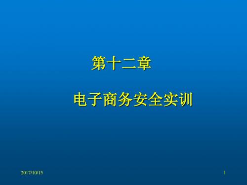 《电子商务安全与实训》--12章