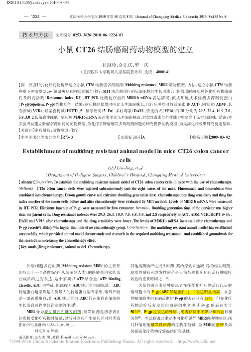CT26结肠癌耐药动物模型