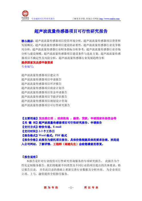 超声波流量传感器项目可行性研究报告