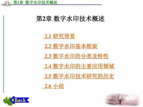 ok 第2章 数字水印技术概述