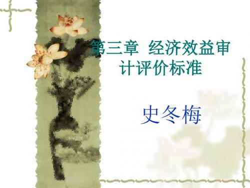 经济效益审计课件
