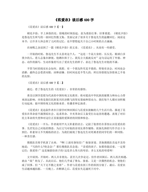 《范爱农》读后感400字