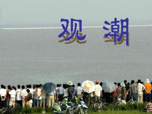 人教版四年级语文上册全册课件