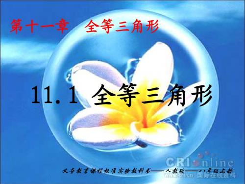 01 11.1 全等三角形
