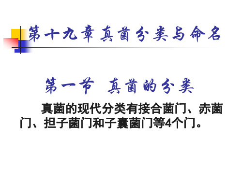 真菌分类与命名.ppt