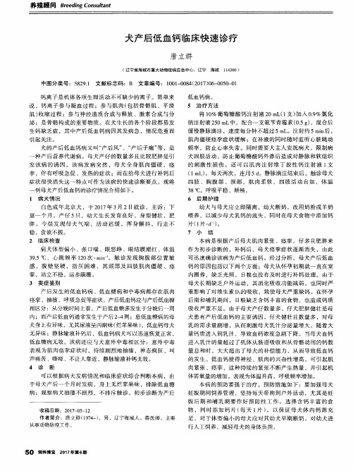 犬产后低血钙临床快速诊疗