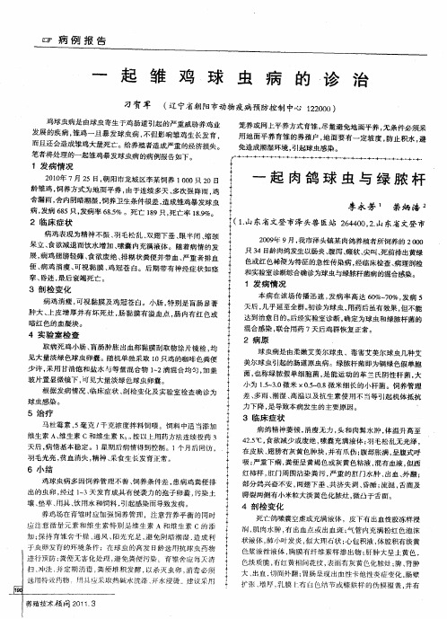 一起肉鸽球虫与绿脓杆