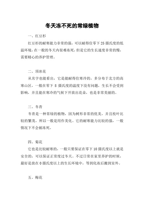 冬天冻不死的常绿植物