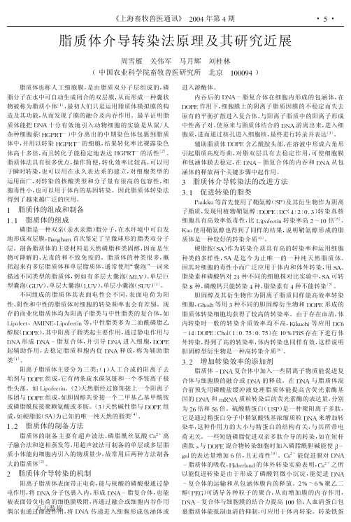 脂质体介导转染法原理及其研究近展(值得看)