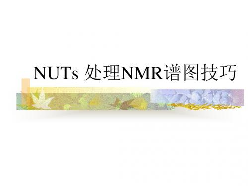NUTs处理NMR谱图技巧.