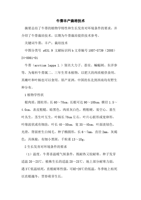 牛蒡丰产栽培技术