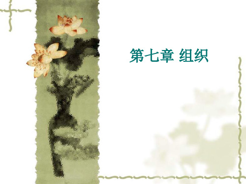 管理学第七章精品文档38页