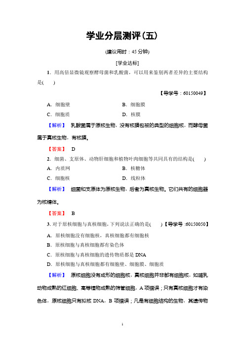 中图版生物必修1：第1单元 第2章 第3节 真核细胞与原核细胞  学业分层测评5