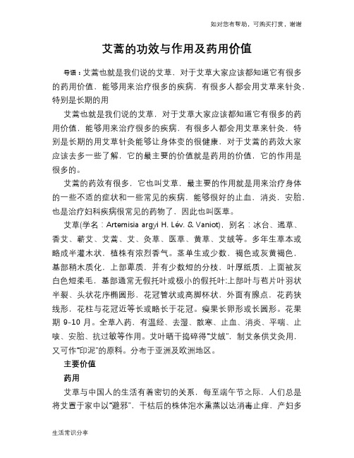 艾蒿的功效与作用及药用价值