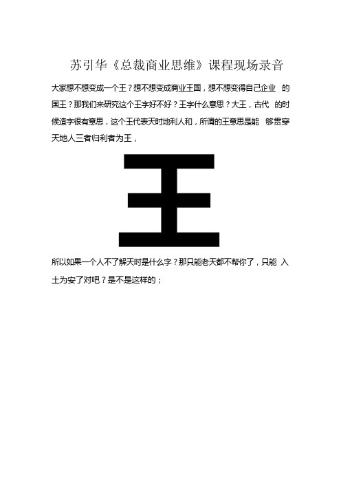 苏引华《总裁商业思维》课程现场录音文档