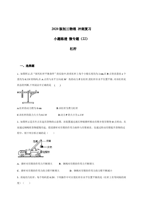 (22)杠杆 — 九年级中考物理冲刺复习小题练透专题检测