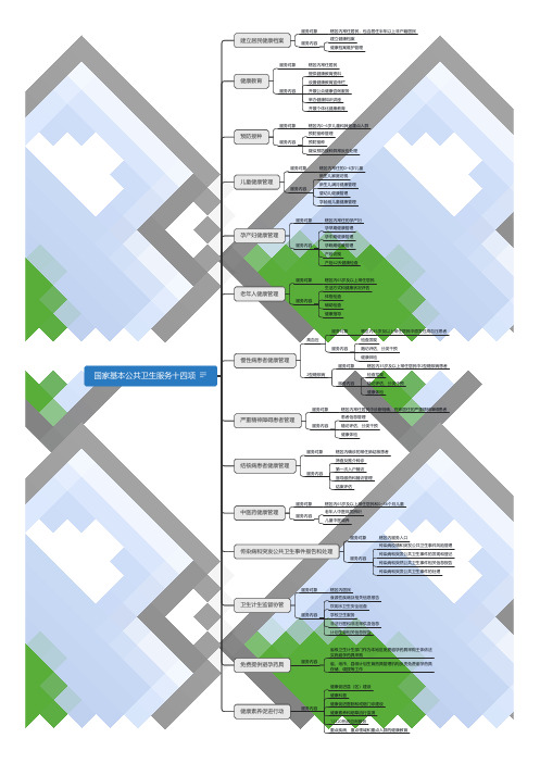 国家基本公共卫生服务十四项