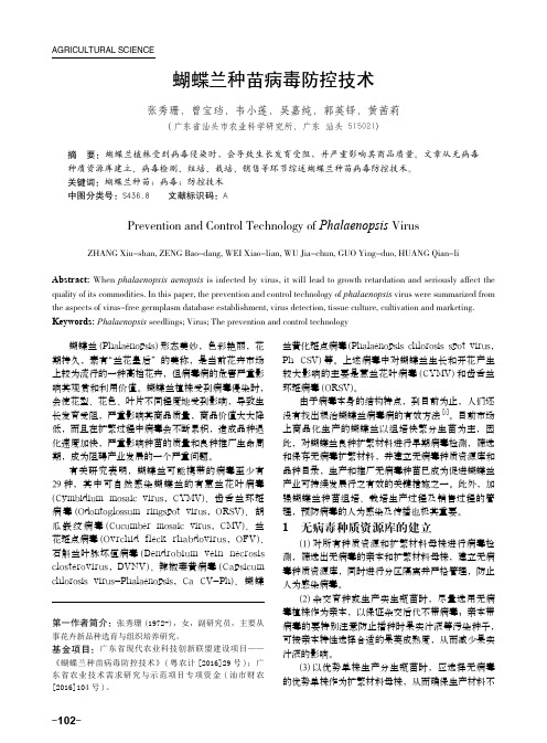 蝴蝶兰种苗病毒防控技术